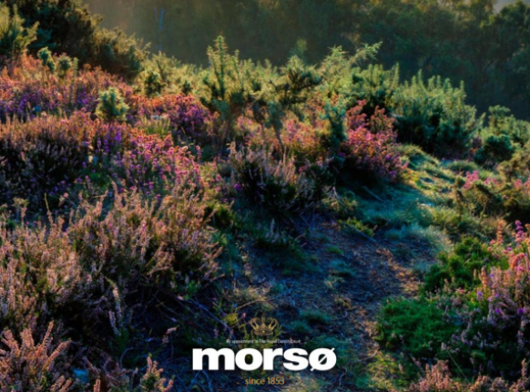 Morsø 2022