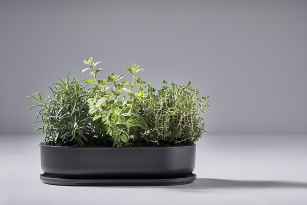 MEZINÁRODNÍ DESIGN AWARDS