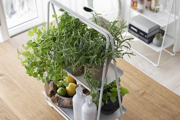 Zone Denmark jako výherce 6 ocenění 🍾