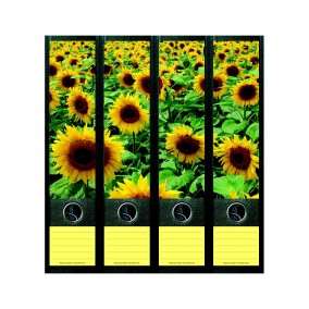 Samolepky na šanony Sunflower Field