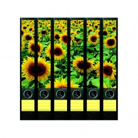 Samolepky na šanony Sunflower Field/6