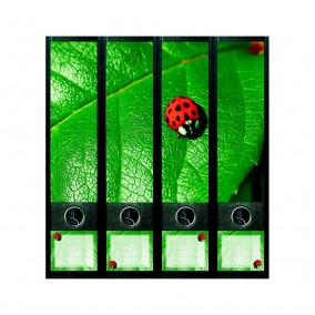 Samolepky na šanony Ladybird