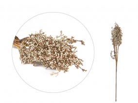 Villa Collection Umělá kytka Kvist Pampus Grass Light 86 cm