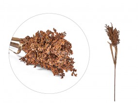 Villa Collection Umělá kytka Kvist Pampus Grass Dark 86 cm